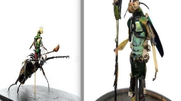 ساخت مجسمه های عجیب با استفاده از حشرات مرده