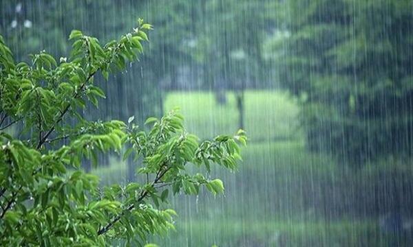 بارش باران در اغلب استان های کشور، خیزش گرد و خاک در نوار شرقی